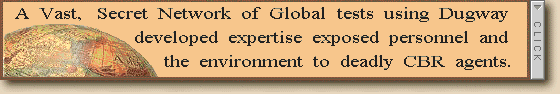 To Global Network Contents